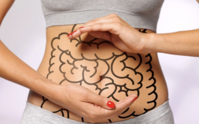 Estrogen Detoxification: Roles Of The Liver & Gut